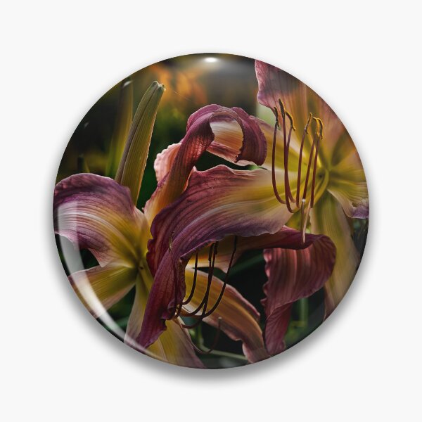 Item preview, "Northwind Dancer" Daylily designed and sold by Michael Cummings.