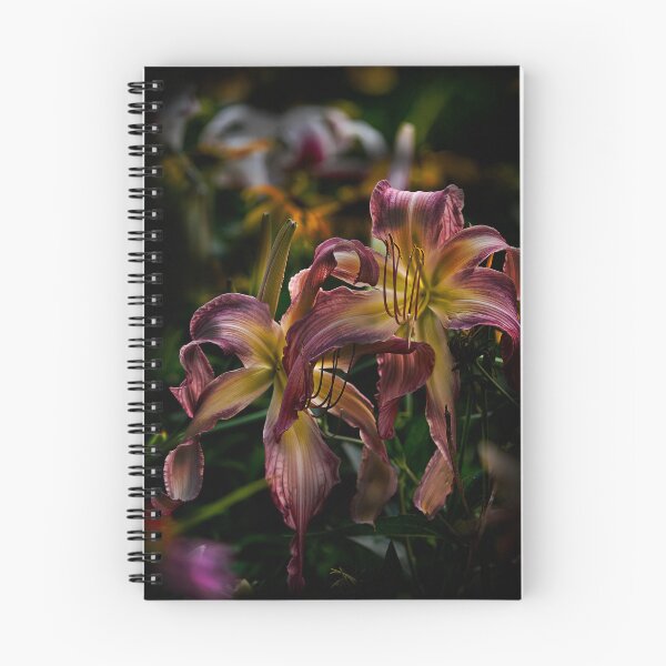 Item preview, "Northwind Dancer" Daylily designed and sold by Michael Cummings.