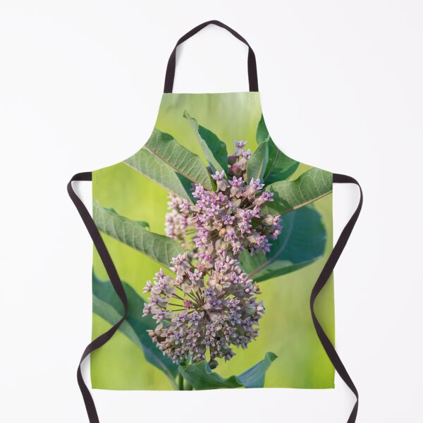 Item preview, Milkweed designed and sold by Michael Cummings.