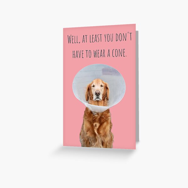 Puppy Dog And Teddy Personalized Get Well Soon Card - Red Heart Print