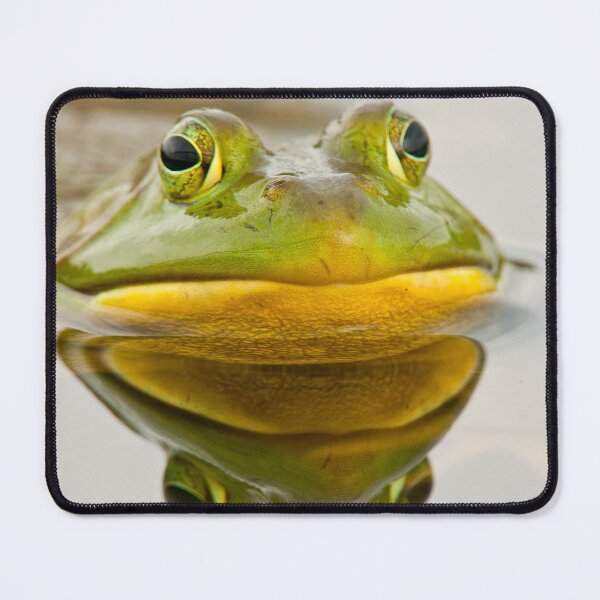 Item preview, Bull Frog designed and sold by Michael Cummings.