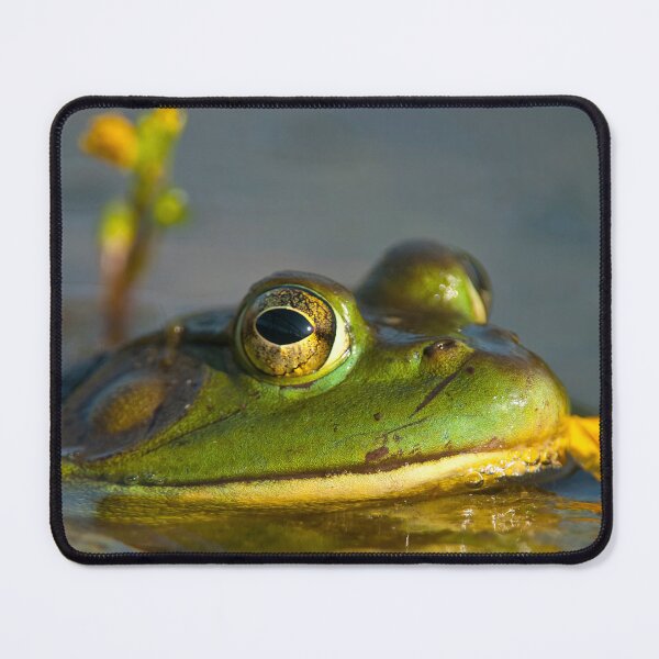 Item preview, Bull Frog designed and sold by Michael Cummings.