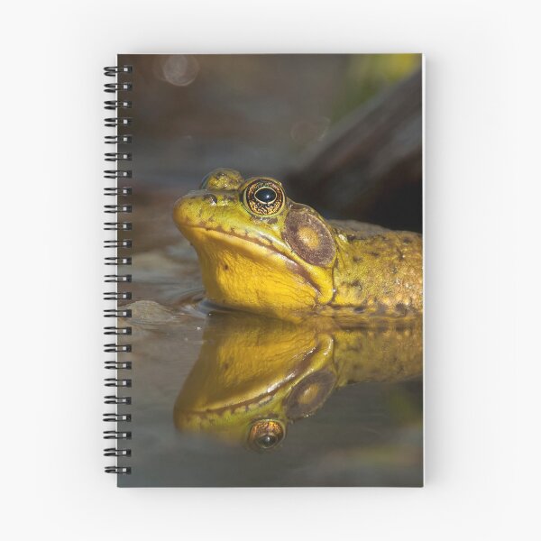 Item preview, Bull Frog designed and sold by Michael Cummings.
