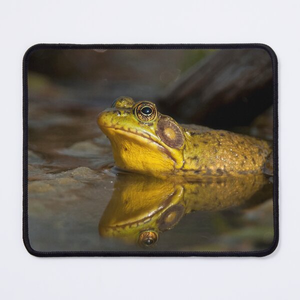 Item preview, Bull Frog designed and sold by Michael Cummings.