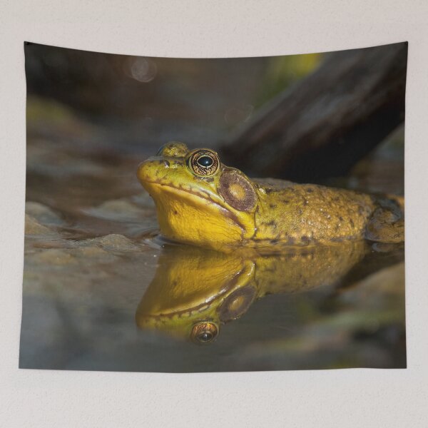 Item preview, Bull Frog designed and sold by Michael Cummings.