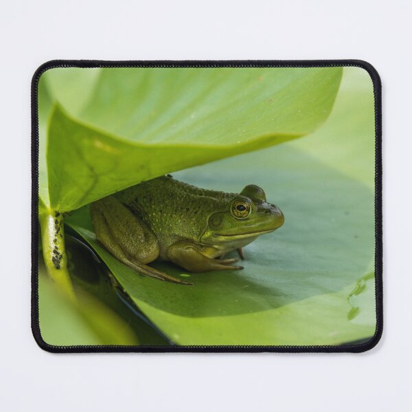 Item preview, Bull Frog designed and sold by Michael Cummings.