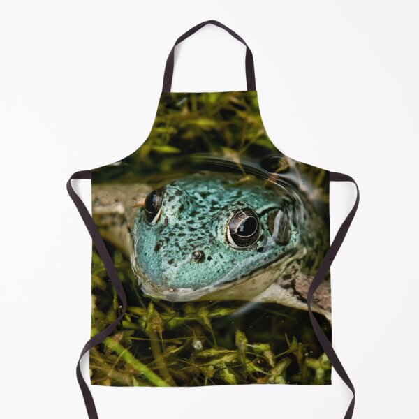 Item preview, Green Frog (blue variant) designed and sold by Michael Cummings.