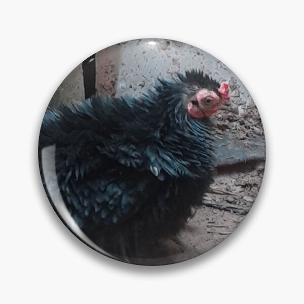 Item preview, Black Frizzled Cochin Bantam Chicken  designed and sold by Jaroffaith.