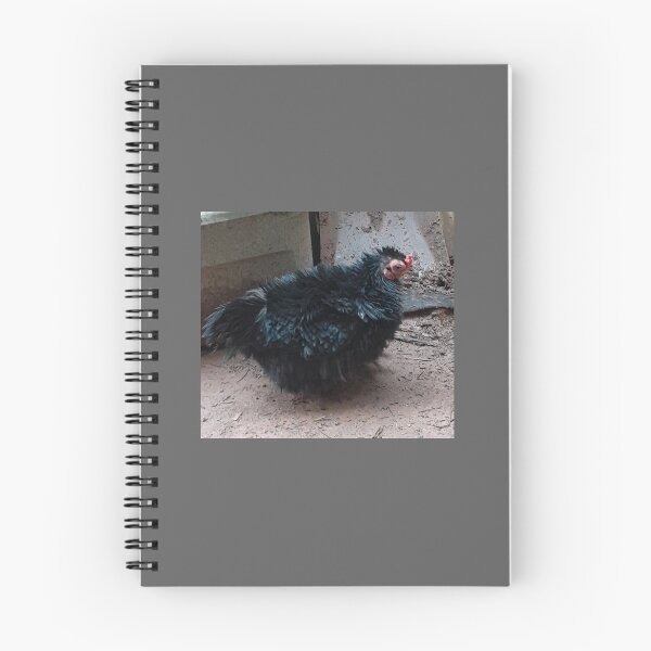 Item preview, Black Frizzled Cochin Bantam Chicken  designed and sold by Jaroffaith.