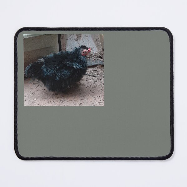 Item preview, Black Frizzled Cochin Bantam Chicken  designed and sold by Jaroffaith.