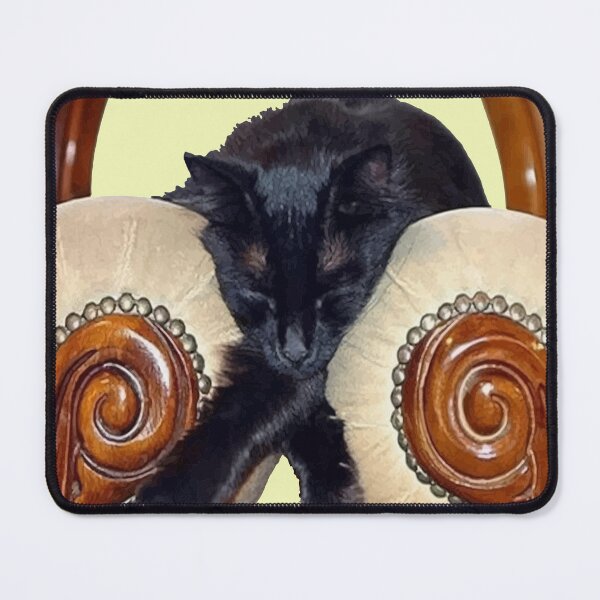 Item preview, Black Cat Slouched Between Two Chairs Legs Crossed designed and sold by taiche.