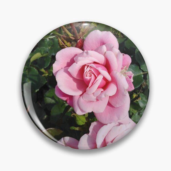 Item preview, You have to find time for a romantic pink rose designed and sold by Raigitam.