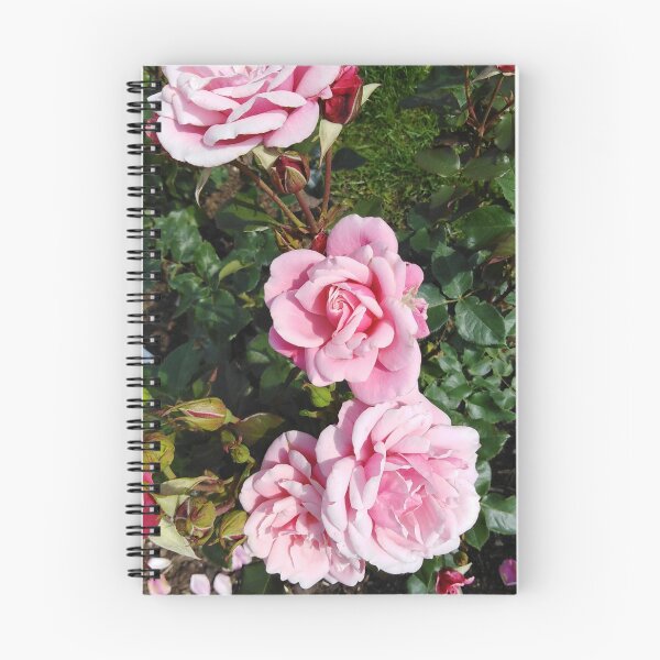 Item preview, You have to find time for a romantic pink rose designed and sold by Raigitam.