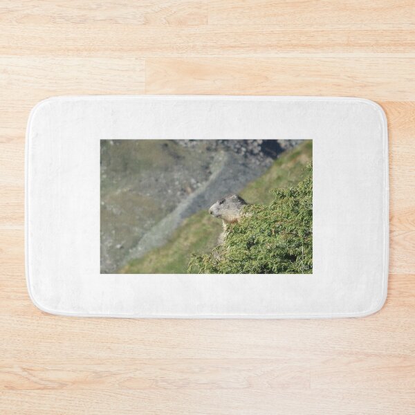Item preview, Marmot on the Look Out designed and sold by beavo.