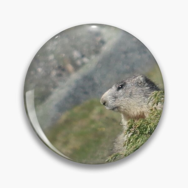 Item preview, Marmot on the Look Out designed and sold by beavo.