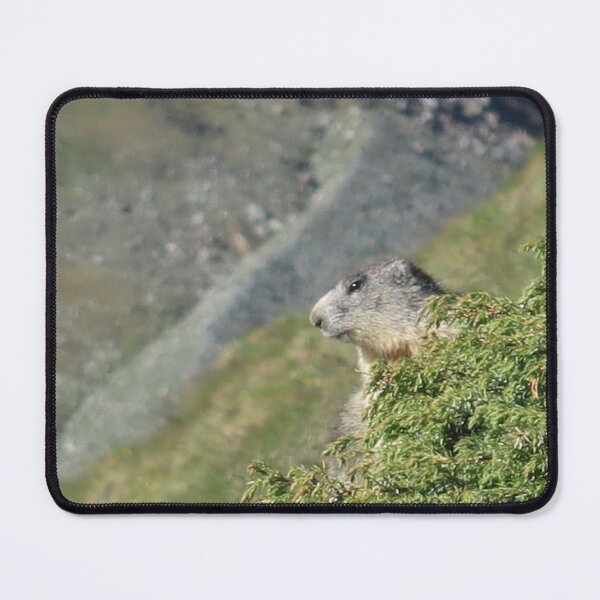 Item preview, Marmot on the Look Out designed and sold by beavo.