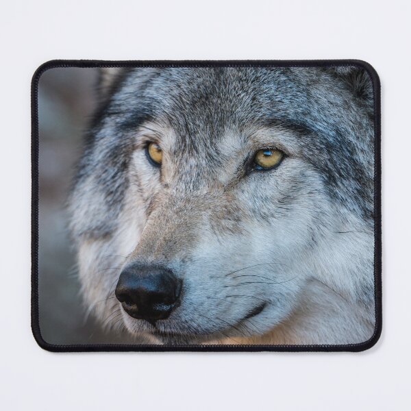 Item preview, Timber Wolf Portrait designed and sold by Michael Cummings.