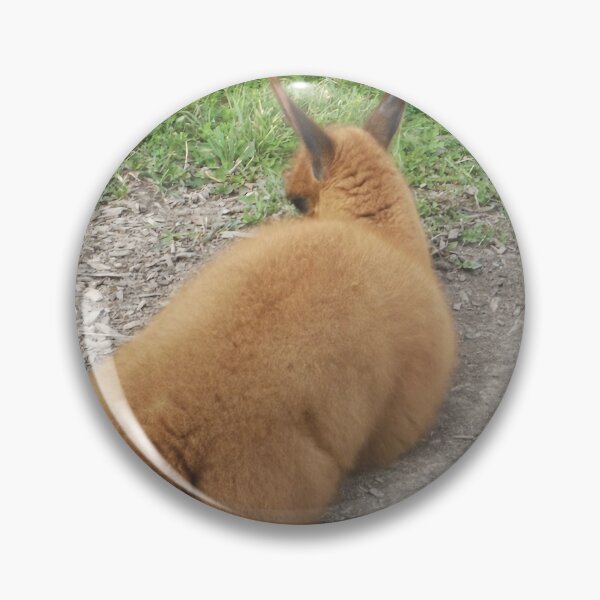 Artikelvorschau, Baby Lama entworfen und verkauft von elfcolt.
