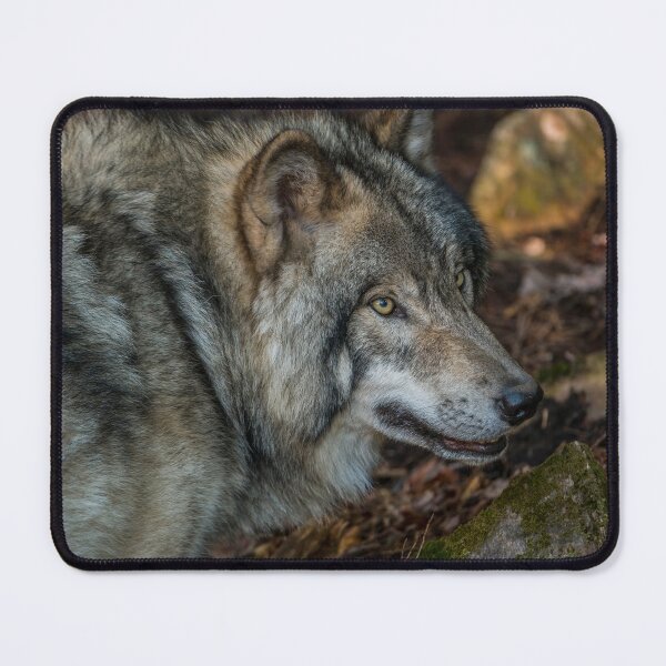 Item preview, Timber Wolf  designed and sold by Michael Cummings.