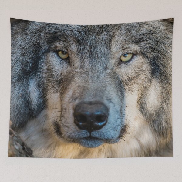 Item preview, Timber Wolf Portrait designed and sold by Michael Cummings.