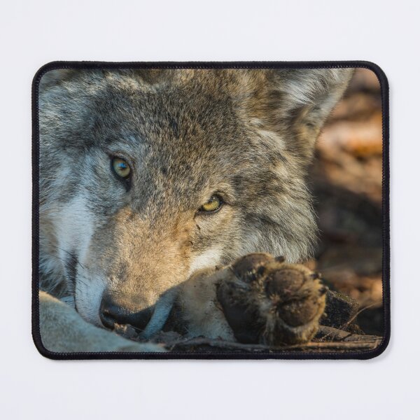 Item preview, Timber Wolf designed and sold by Michael Cummings.