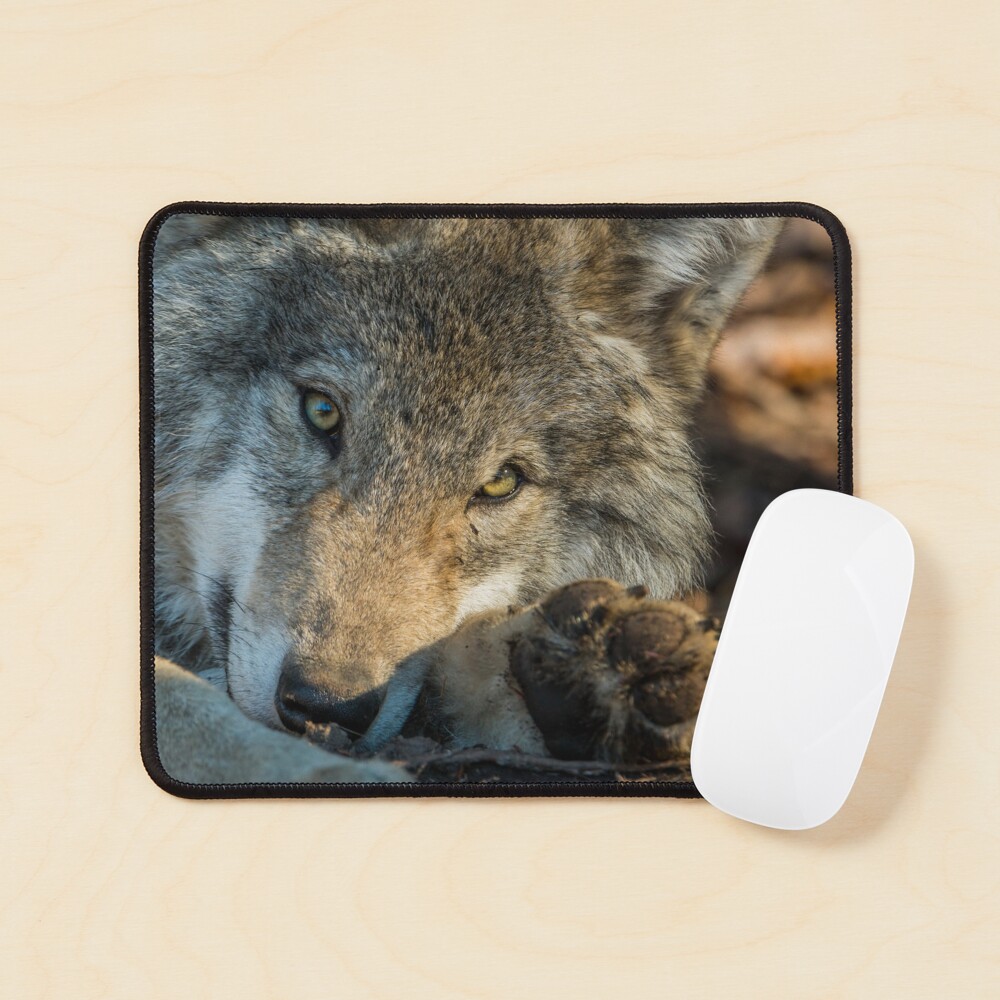Item preview, Mouse Pad designed and sold by jaydee1400.