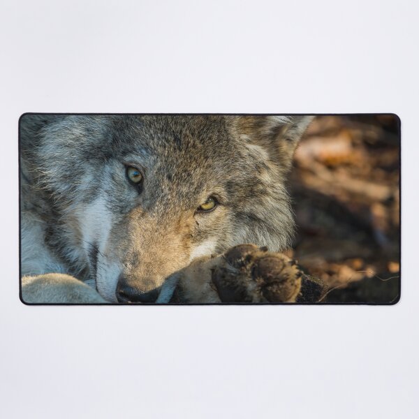 Item preview, Timber Wolf designed and sold by Michael Cummings.