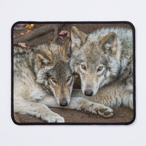 Item preview, Timber Wolves designed and sold by Michael Cummings.