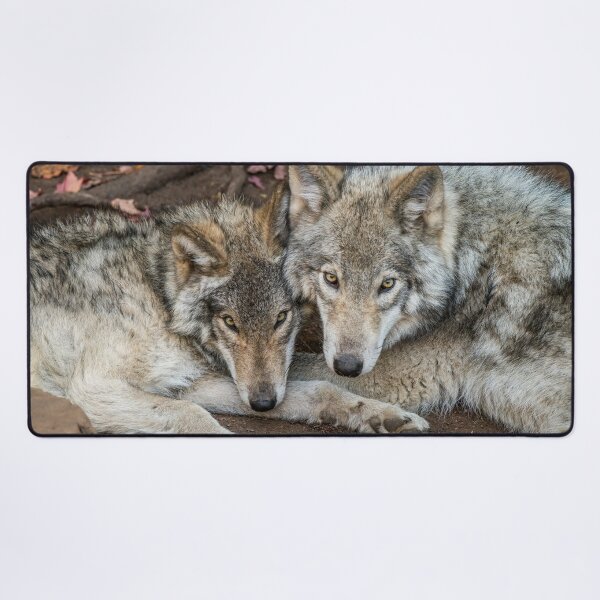 Item preview, Timber Wolves designed and sold by Michael Cummings.