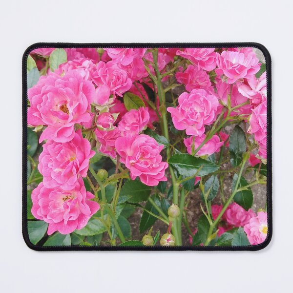 Item preview, This pink romantic rose will leave you speechless designed and sold by Raigitam.