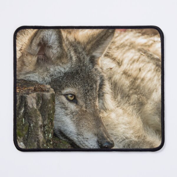 Item preview, Timber Wolf Pup designed and sold by Michael Cummings.