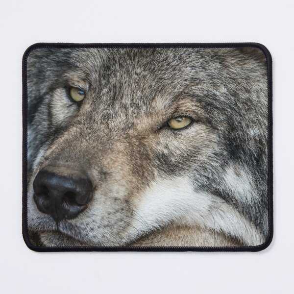 Item preview, Timber Wolf - Closeup designed and sold by Michael Cummings.