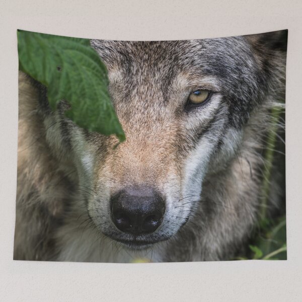 Item preview, Timber Wolf designed and sold by Michael Cummings.