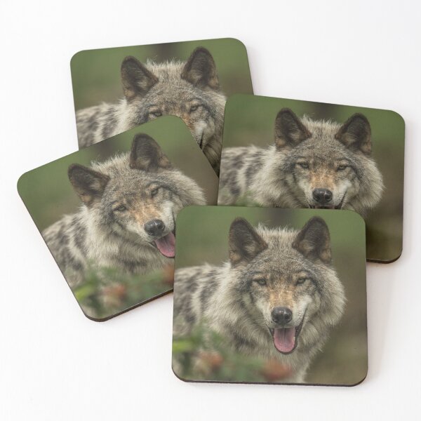 Item preview, Timber Wolf designed and sold by Michael Cummings.