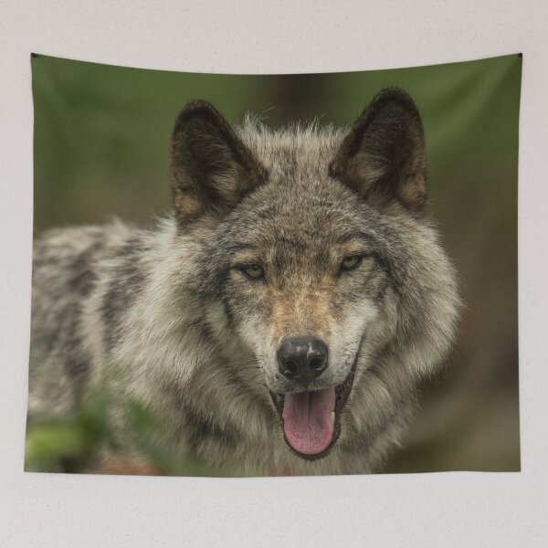 Item preview, Timber Wolf designed and sold by Michael Cummings.