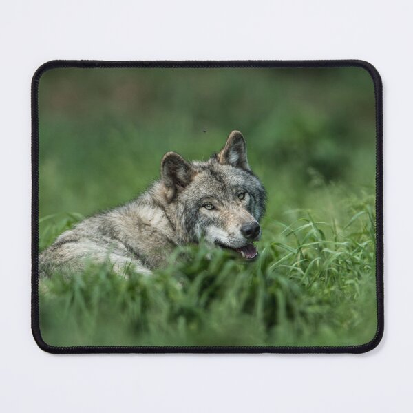 Item preview, Timber Wolf designed and sold by Michael Cummings.