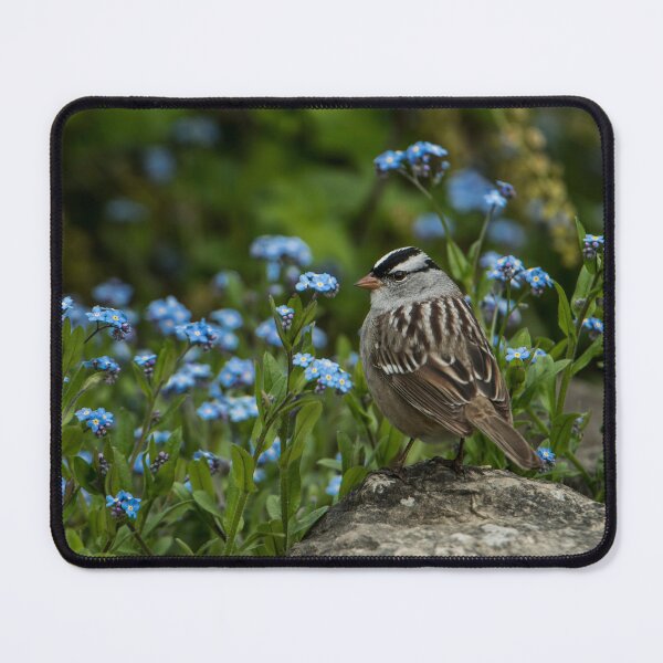 Item preview, White Crowned Sparrow designed and sold by Michael Cummings.
