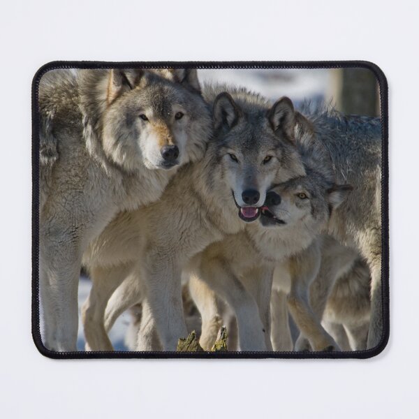 Item preview, Wolf Pack designed and sold by Michael Cummings.