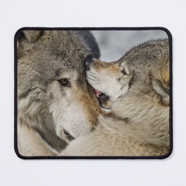 Item preview, Timber Wolves designed and sold by Michael Cummings.
