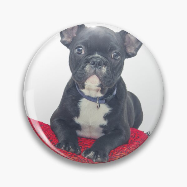 Item preview, Smart Dog designed and sold by FunHouse6465.