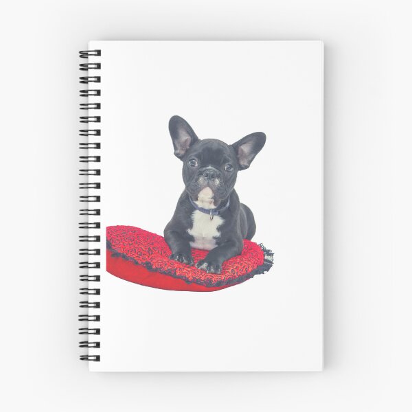 Item preview, Smart Dog designed and sold by FunHouse6465.