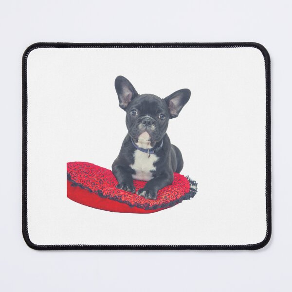 Item preview, Smart Dog designed and sold by FunHouse6465.