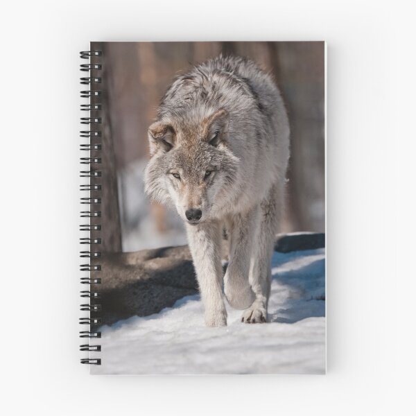 Item preview, Timber Wolf Pup designed and sold by Michael Cummings.