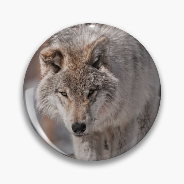 Item preview, Timber Wolf Pup designed and sold by Michael Cummings.