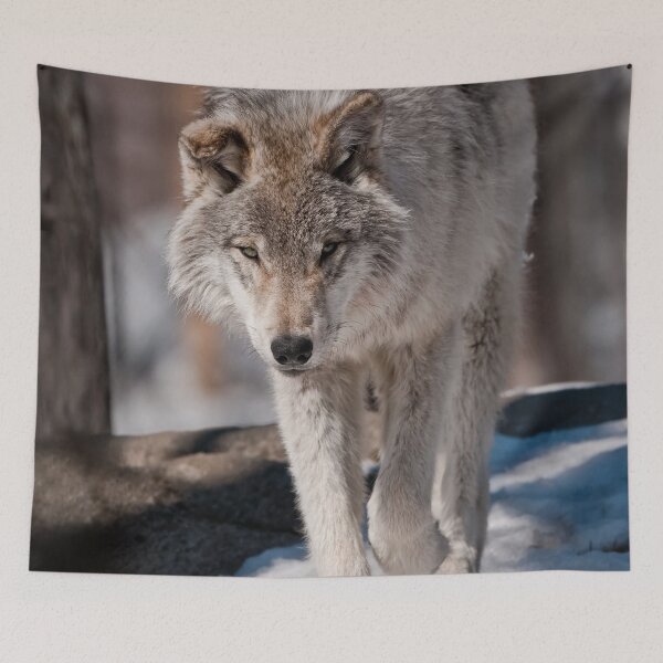 Item preview, Timber Wolf Pup designed and sold by Michael Cummings.