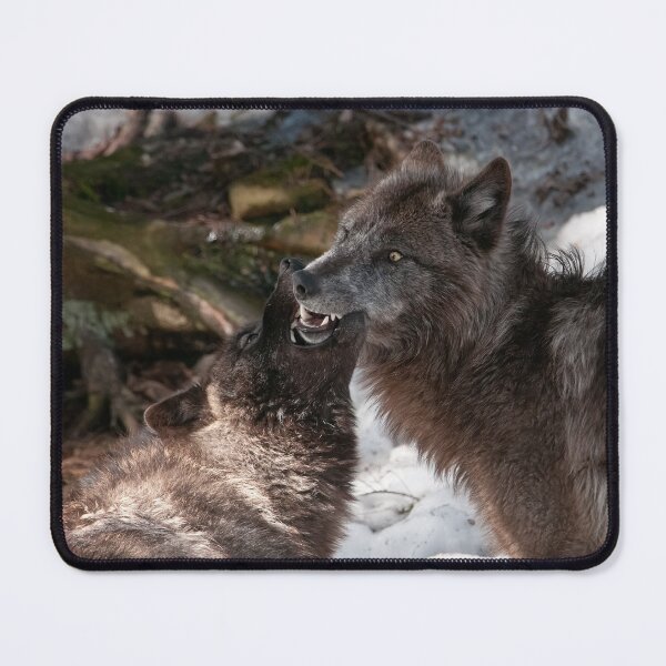 Item preview, Black Wolves designed and sold by Michael Cummings.