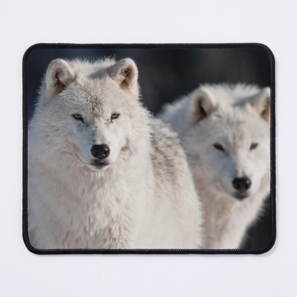 Item preview, Arctic Wolves designed and sold by Michael Cummings.
