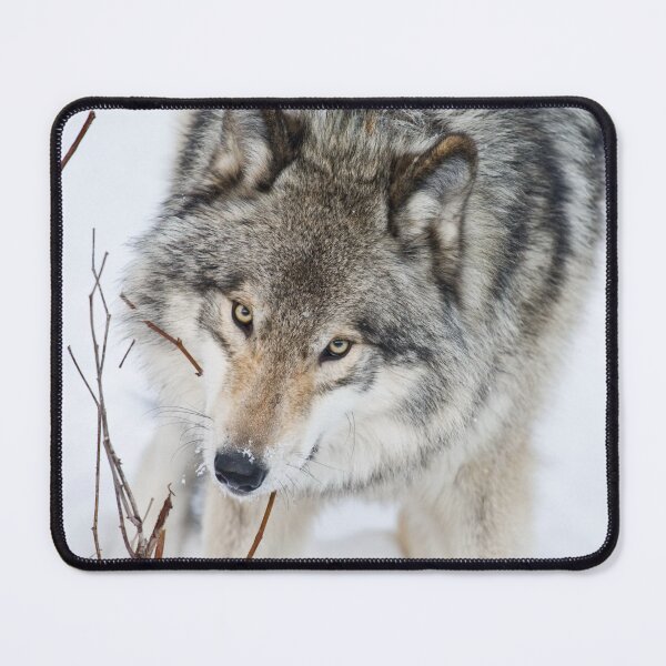 Item preview, Timber Wolf designed and sold by Michael Cummings.
