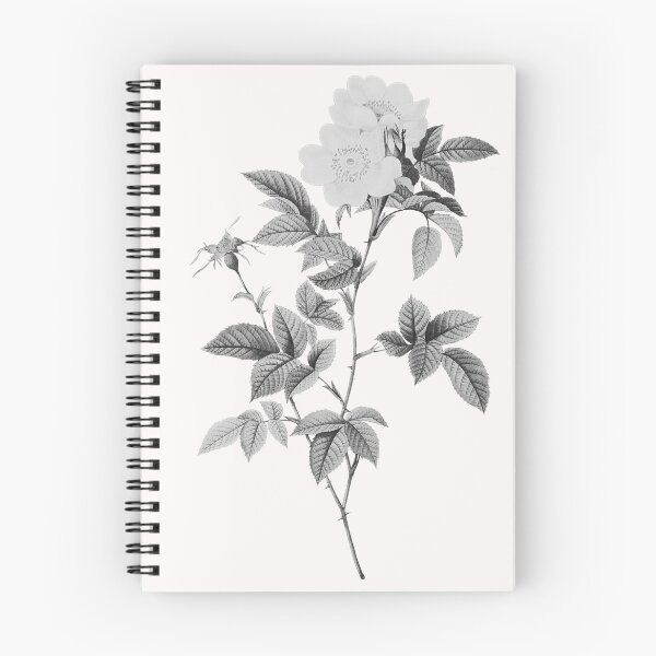Item preview, Anjou Rose Flower, Alternative Illustration - Grey and White Rose designed and sold by DaphneKstudio .