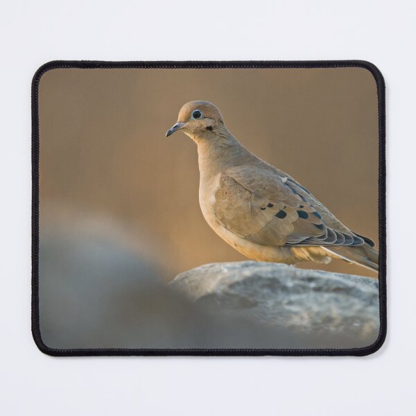 Item preview, Mourning Dove On Rock designed and sold by Michael Cummings.